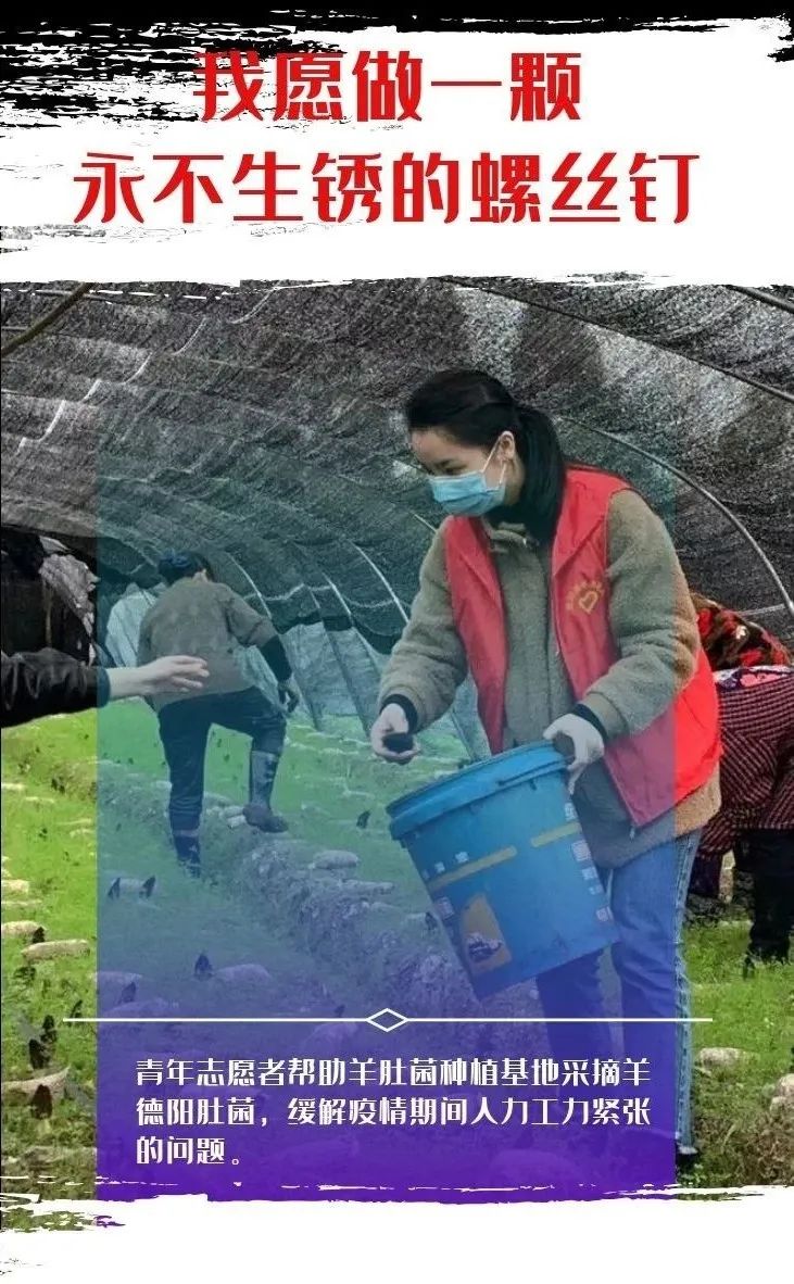 学习新思想争做新青年雷锋篇,践行雷锋精神争做先锋