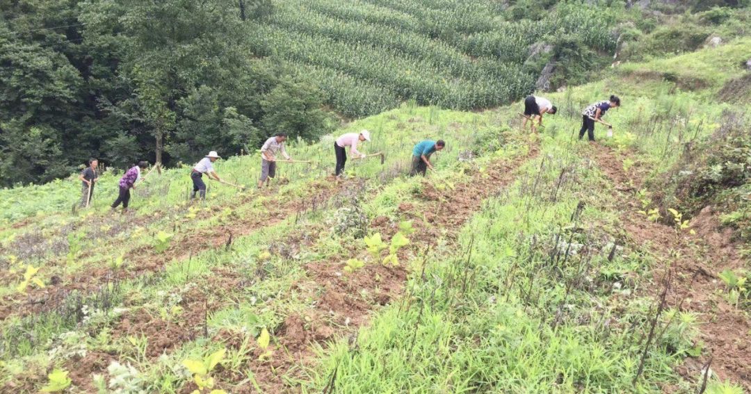 追忆峥嵘岁月践行党员使命,镇巴李耀军