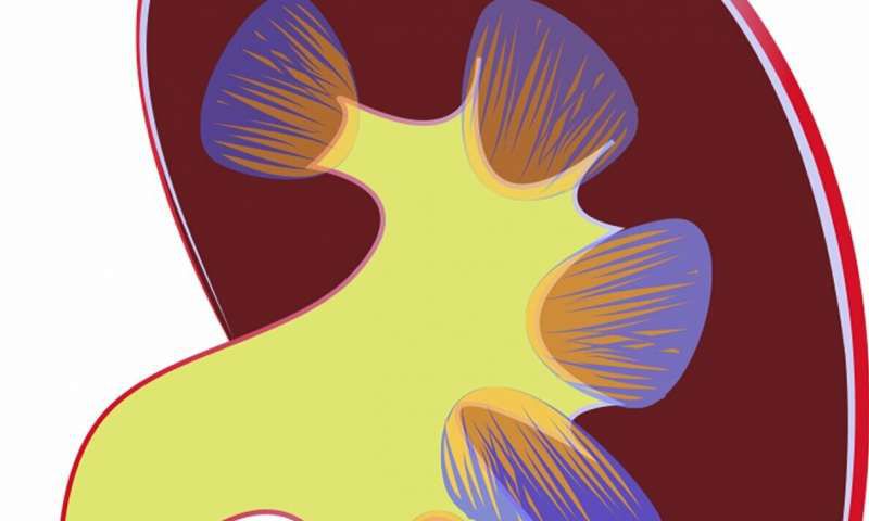 治疗癌症的重大突破科研成果,早期肾癌术后首选辅助治疗方案