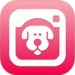 喵喵记账的app,推荐app喵喵记账