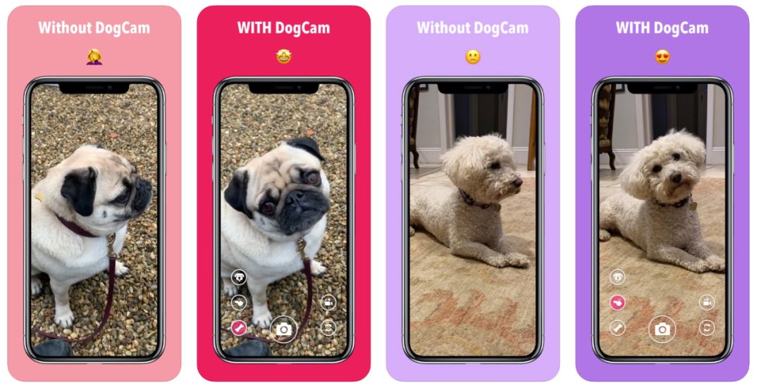 喵喵记账应用分享,喵喵记账app封面