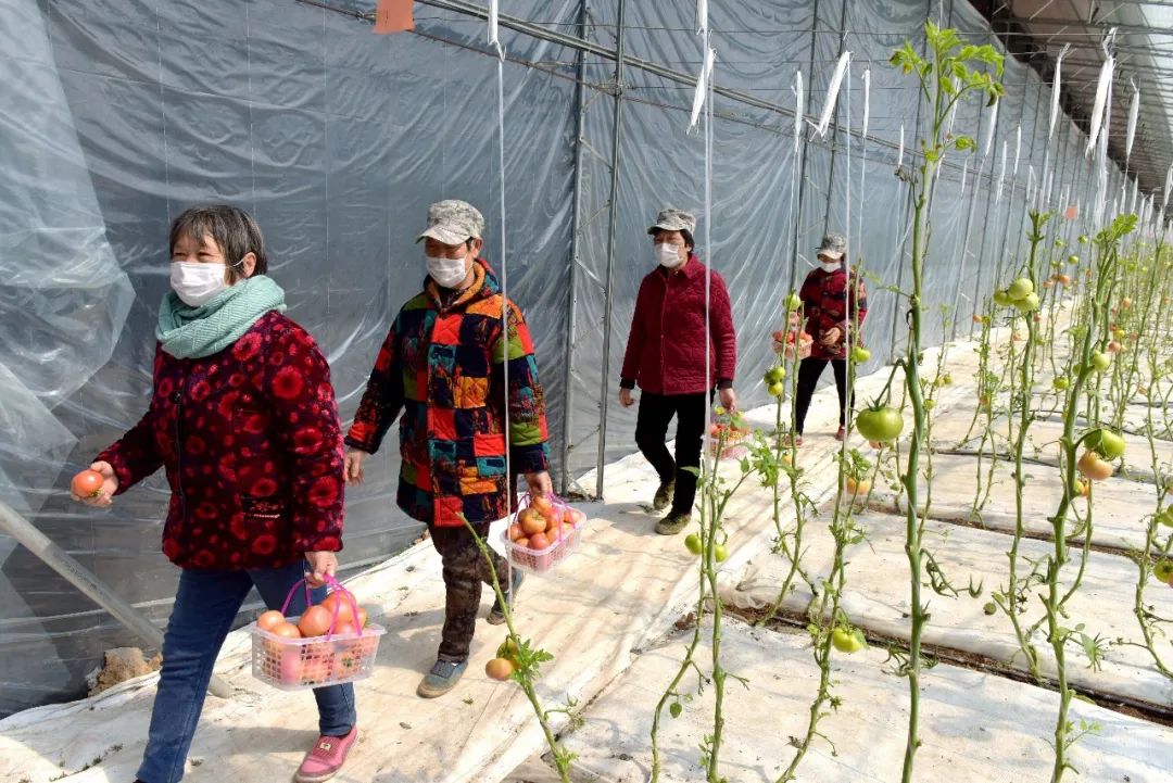 阜阳脱贫攻坚最新消息,脱贫攻坚阜阳在行动