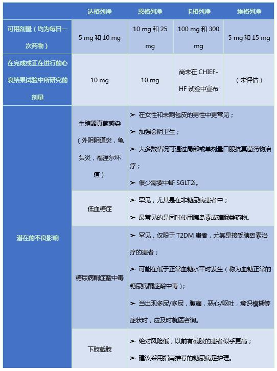 circulation蹇冭“椋庨櫓,circulation缁艰堪