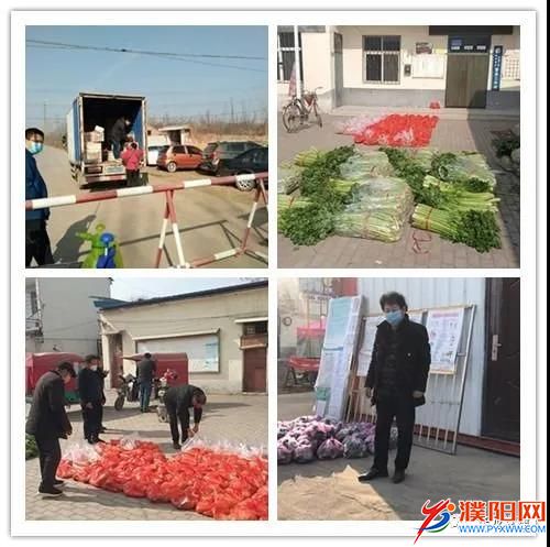 铿锵玫瑰在疫情防控岗位上绽放,铿锵玫瑰勇担当战疫一线绽芳华