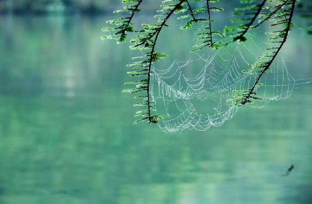 云和有什么特色地点,云和县城里的古街