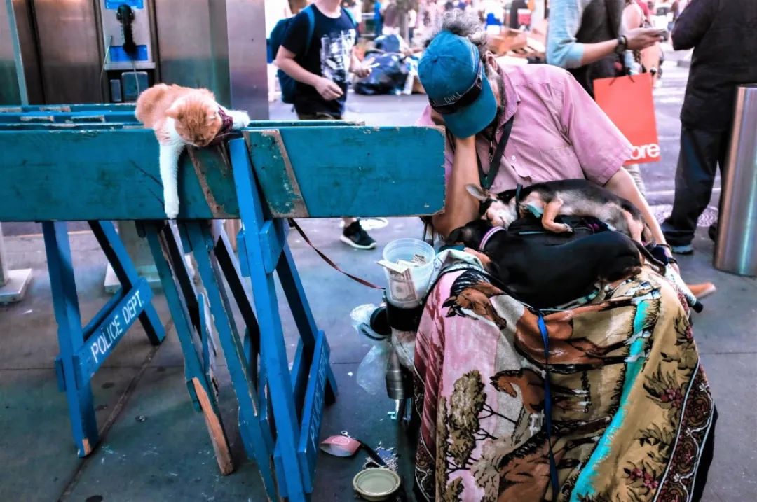 纽约真的是又脏又乱吗,纽约真的那么脏乱吗