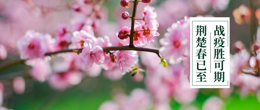 桂子山夜话最新,桂子山夜话最新视频