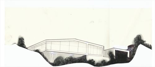 一年一度的植树,现在正在植树的视频