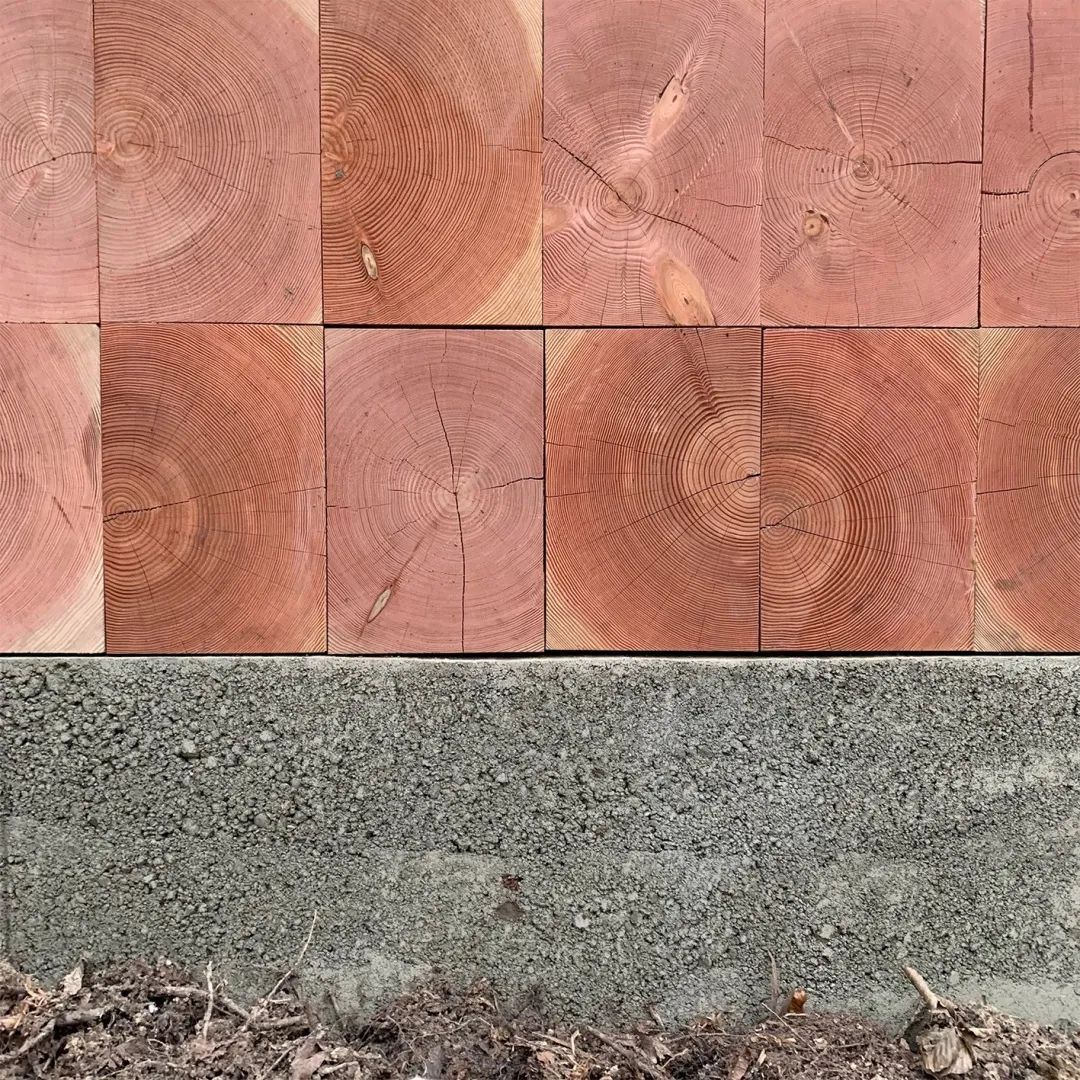 一起来植树的视频,今天适合植树吗