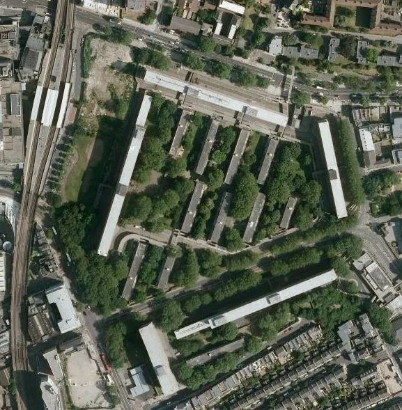 一年一度的植树,现在正在植树的视频