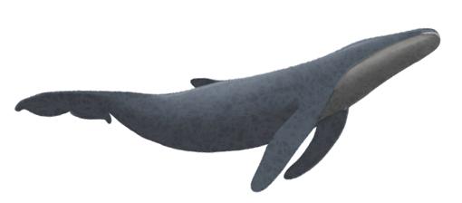 代写论文这十年:灰色产业里的黑吃黑,远比你想得多丨人间