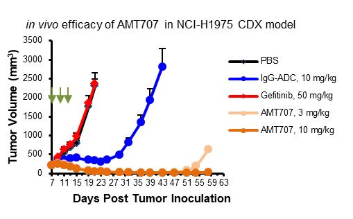 中国科学家率先突破6g技术,中国科学家研制出新型大脑芯片