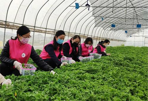 又是一年春来早家乡景色,又是一年春来早万物逢春在今朝