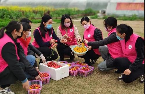 又是一年春来早家乡景色,又是一年春来早万物逢春在今朝