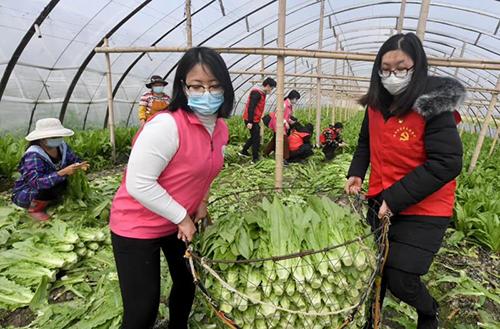 又是一年春来早家乡景色,又是一年春来早万物逢春在今朝