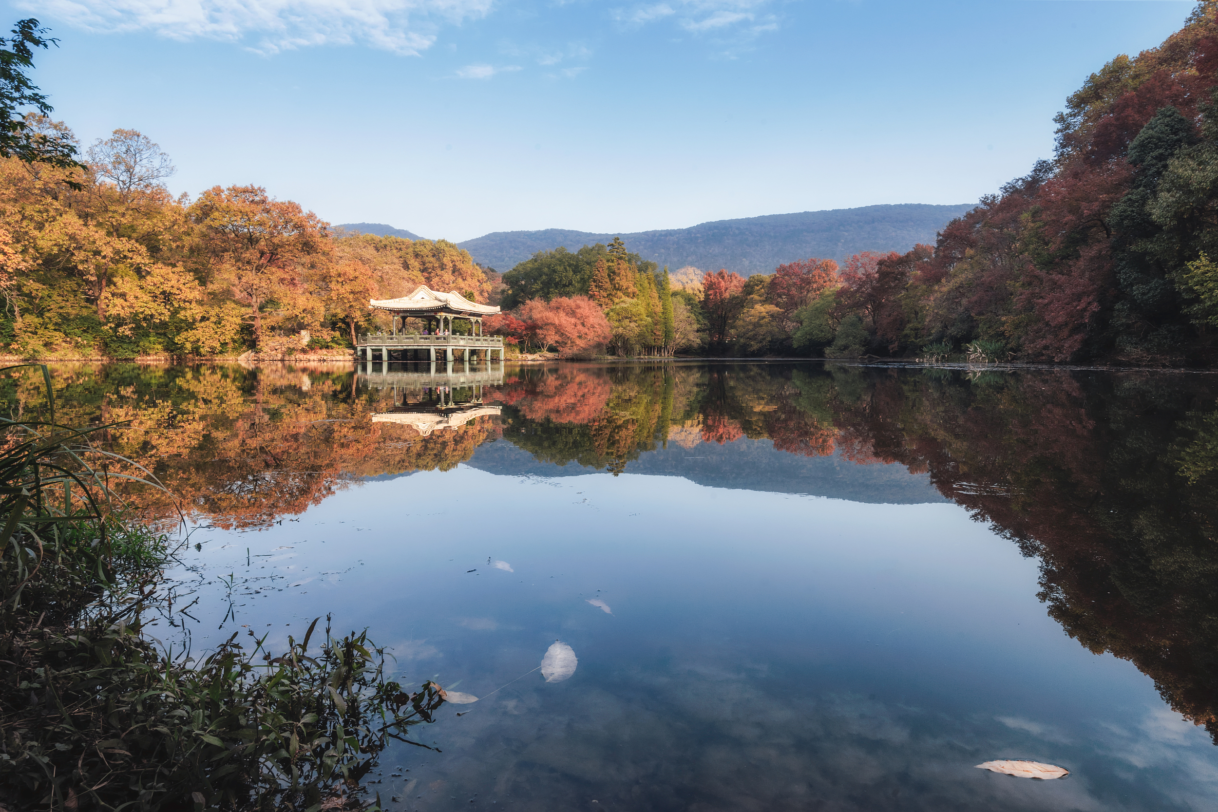 江苏假期旅行社,江苏旅行社什么时候恢复正常出行