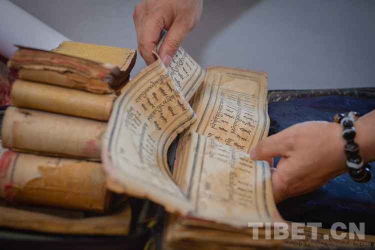 四朗青佩最新视频,四朗青佩