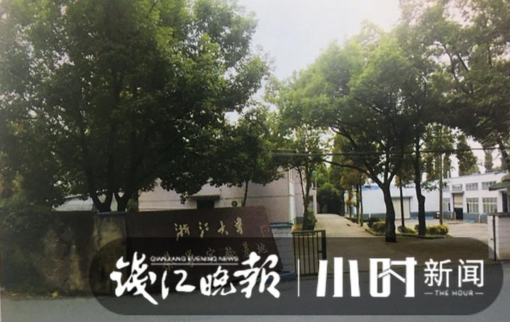 问茶③｜失而复得的径山茶，耄耋老人用毕生书写与径山的一世茶缘