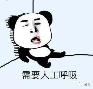 蓝环章鱼为了你到底付出了什么,蓝环章鱼日常