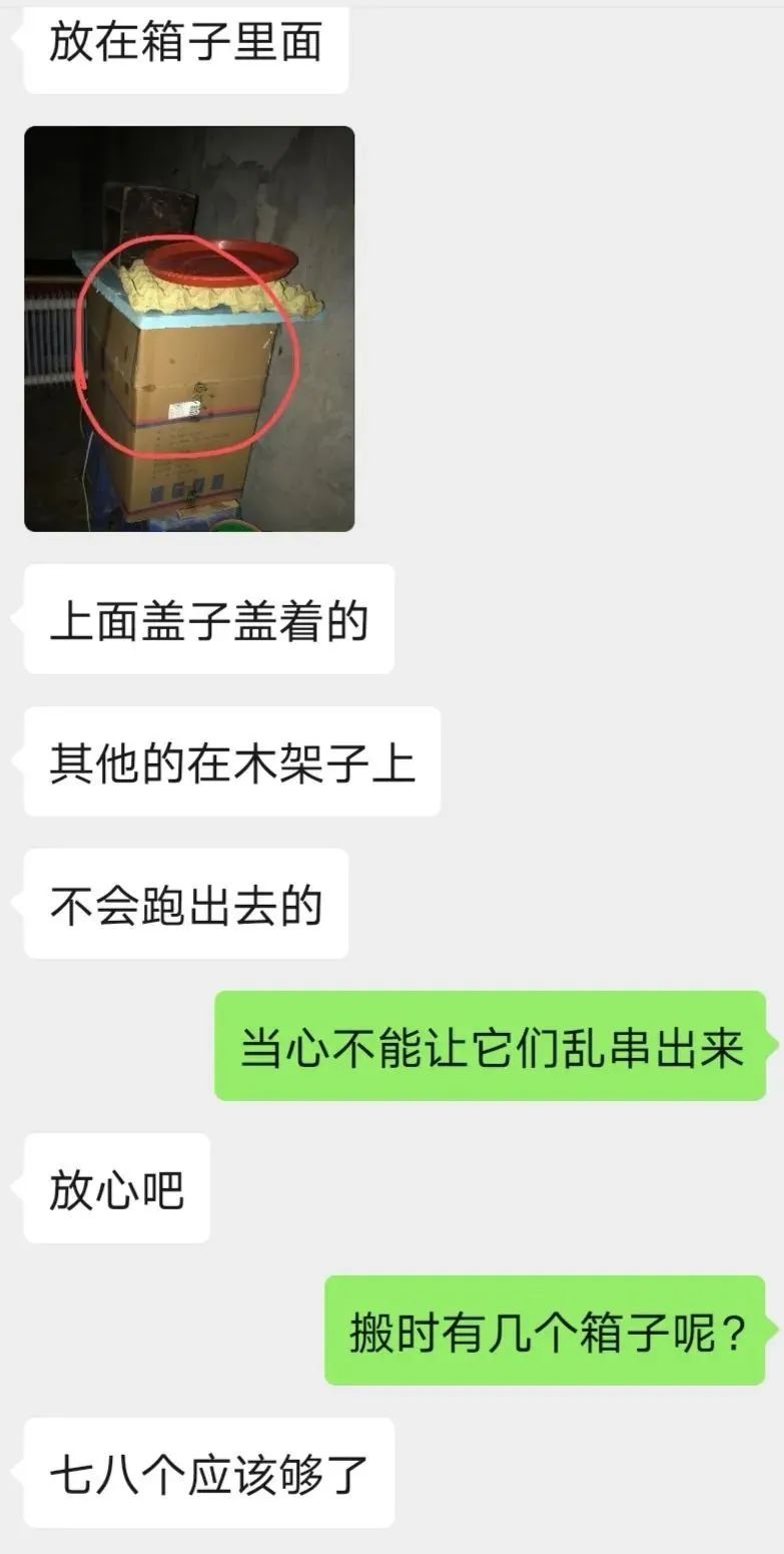 头皮发麻蟑螂竟当成宠物网上售卖,家里养了1万只蟑螂