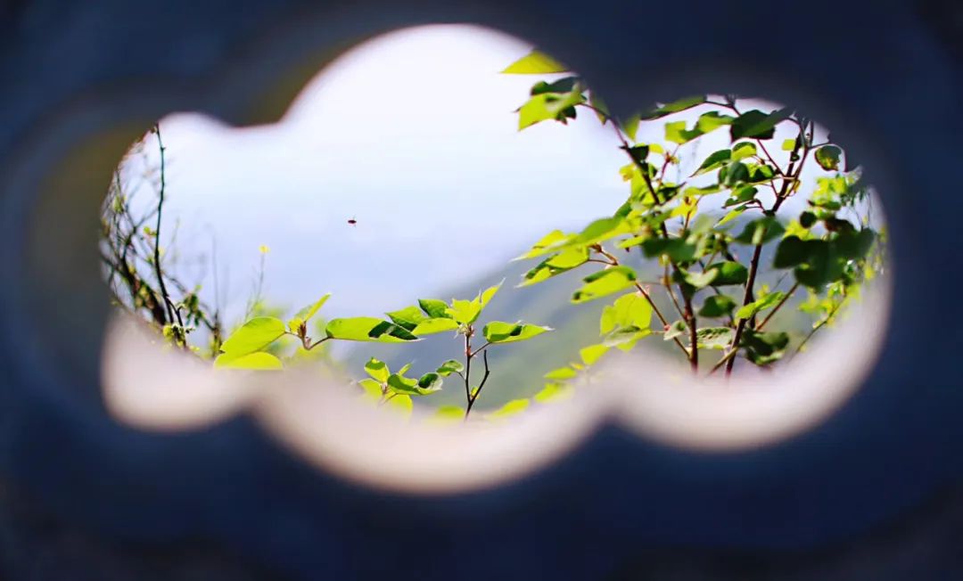 古诗词中的春天的美,春天里的古诗词美篇