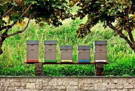 给我一杯萧邦的红酒来开狂欢的Party