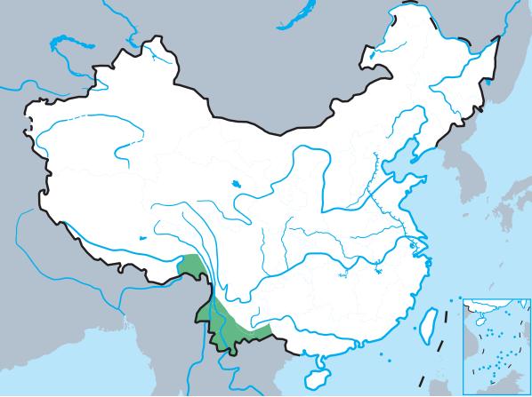 自然之友保护绿孔雀,绿孔雀保护措施