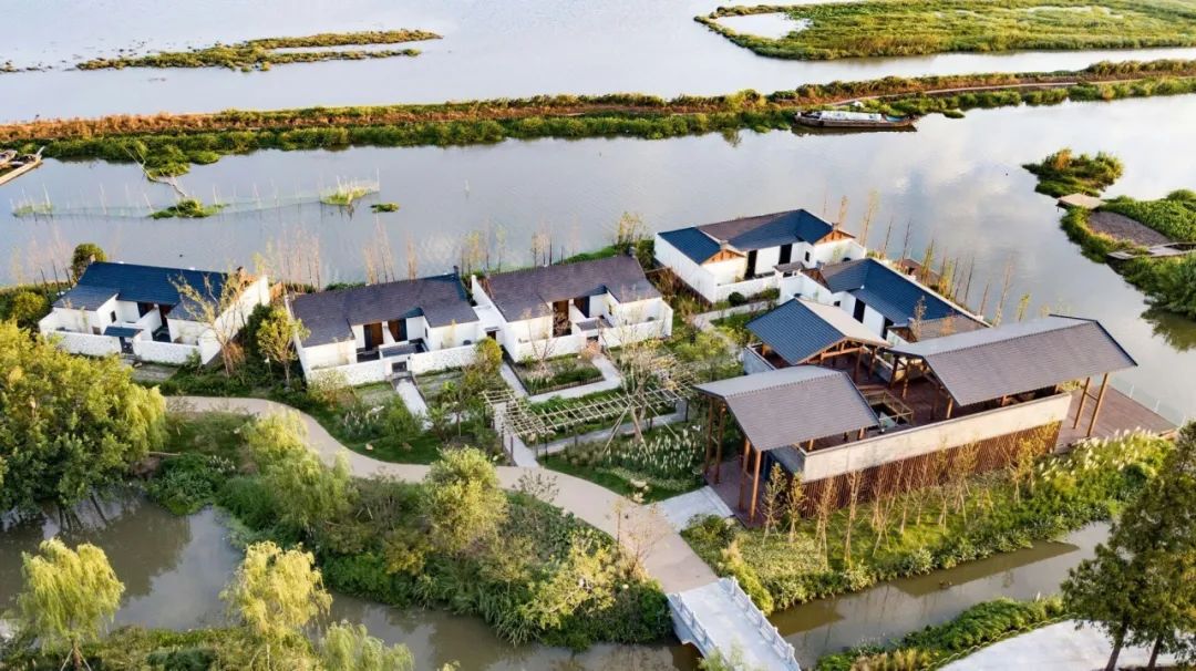 兴化千垛菜花攻略,兴化千垛菜花有多美