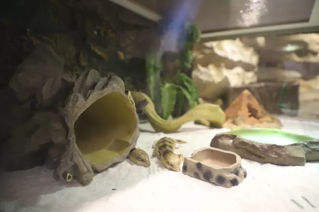 海信科学探索中心198团购,海信科学探索中心便宜门票