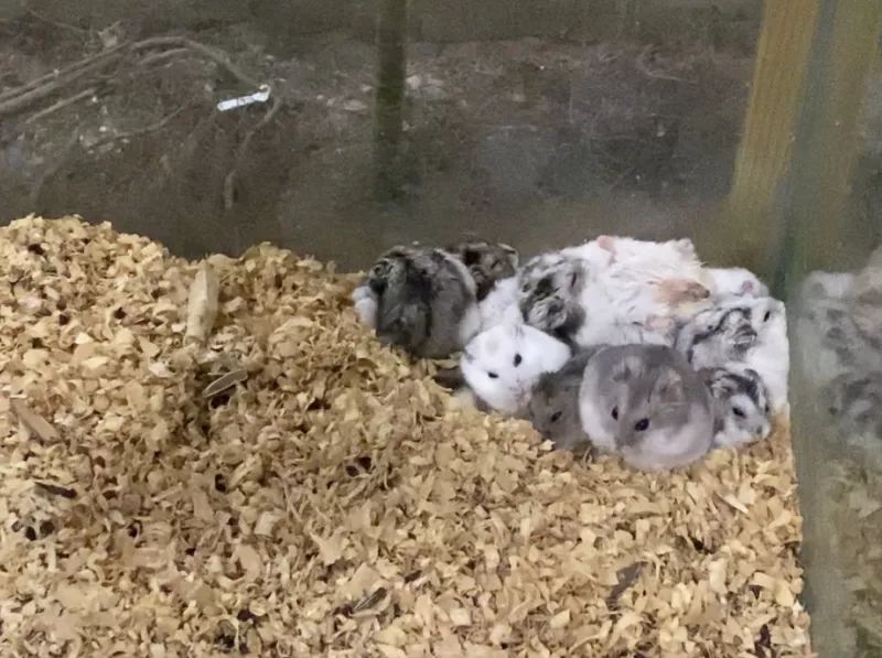 海信科学探索中心198团购,海信科学探索中心便宜门票