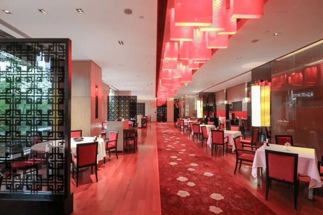 背后的心酸和努力你是看不到的,去香格里拉的忠告