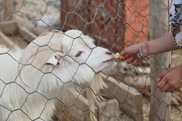 南北疆深度环线8日游,南北疆30天旅游攻略