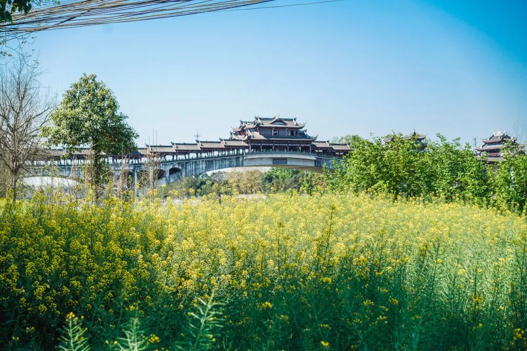 成都黄龙溪古镇美景竖屏,黄龙溪古镇小景