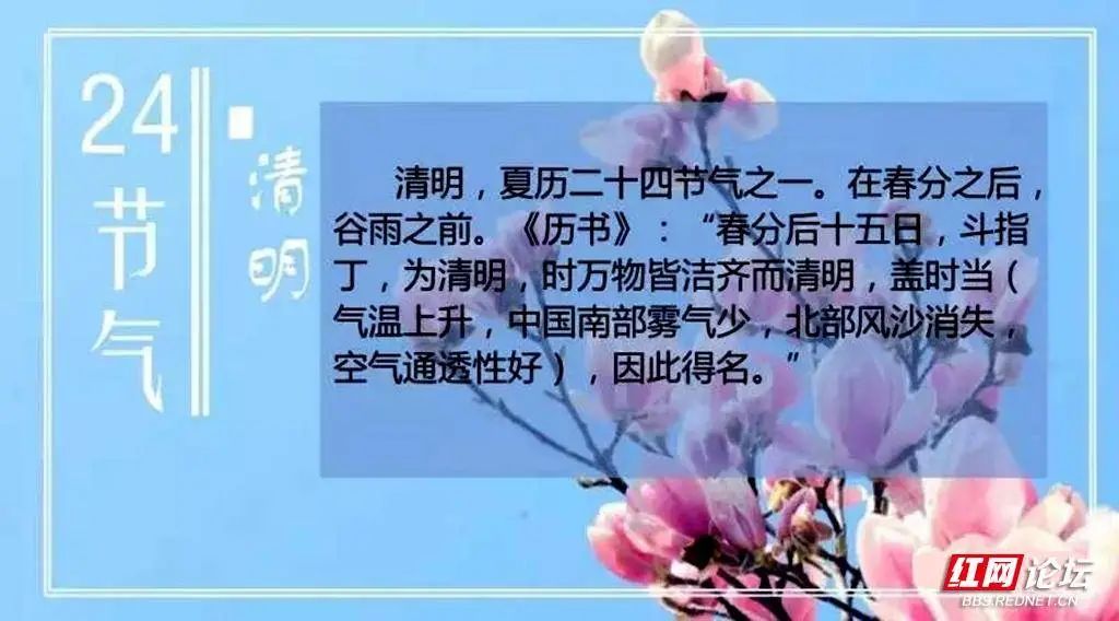 清明节祭祖踏青的传统习俗,说说大家当地清明节的特色跟风俗
