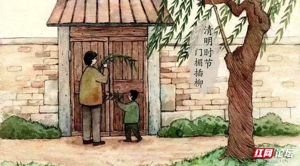 清明节祭祖踏青的传统习俗,说说大家当地清明节的特色跟风俗