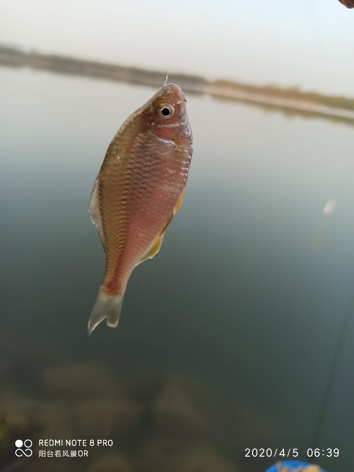 5.4鱼竿碰到大鱼老切线,5.4米鱼竿不适合野钓吗