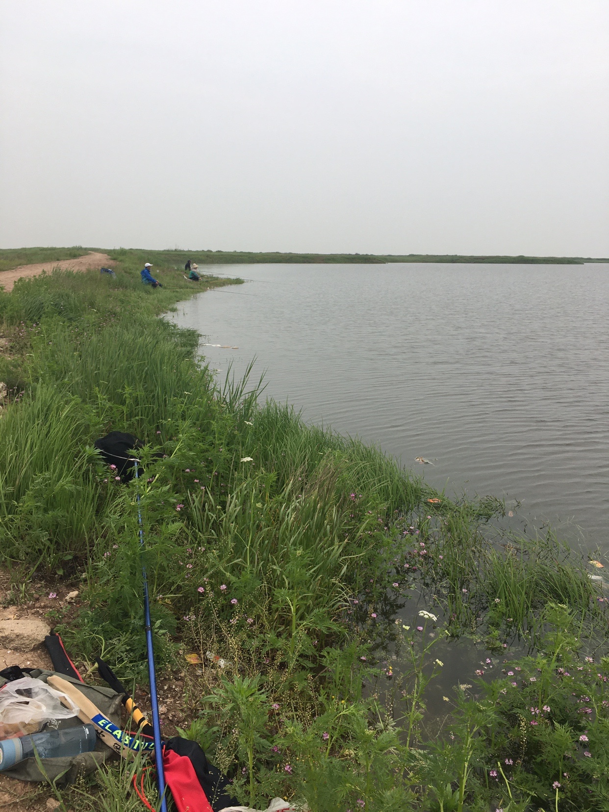 锵锵三人行余秀华读诗,锵锵三人行马未都邓亚萍