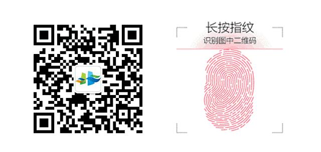 我爱我家致敬父母作文,致敬我爱我家精彩片段