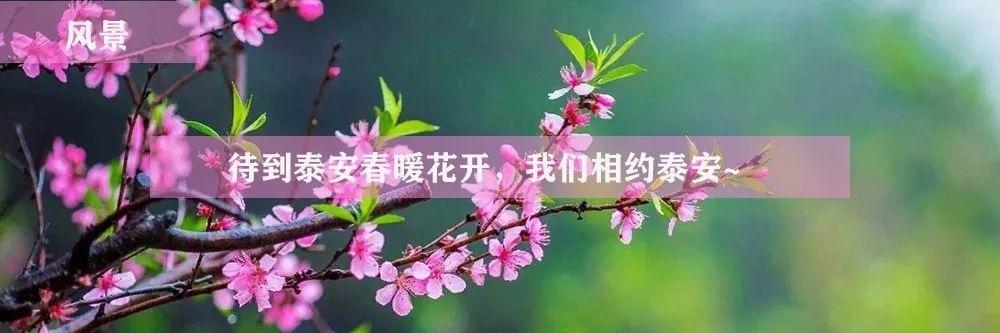 五一去哪里玩国家a级景区,五一热门景区和冷门景区