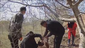 生活帮鲜果小镇,生活帮餐饮