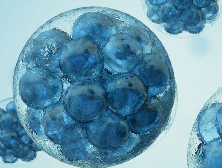 cell子刊《moleculartherapy》,cell子刊揭秘癌症成长史