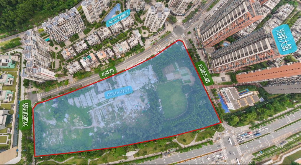 深圳，这只老虎终于要发威了