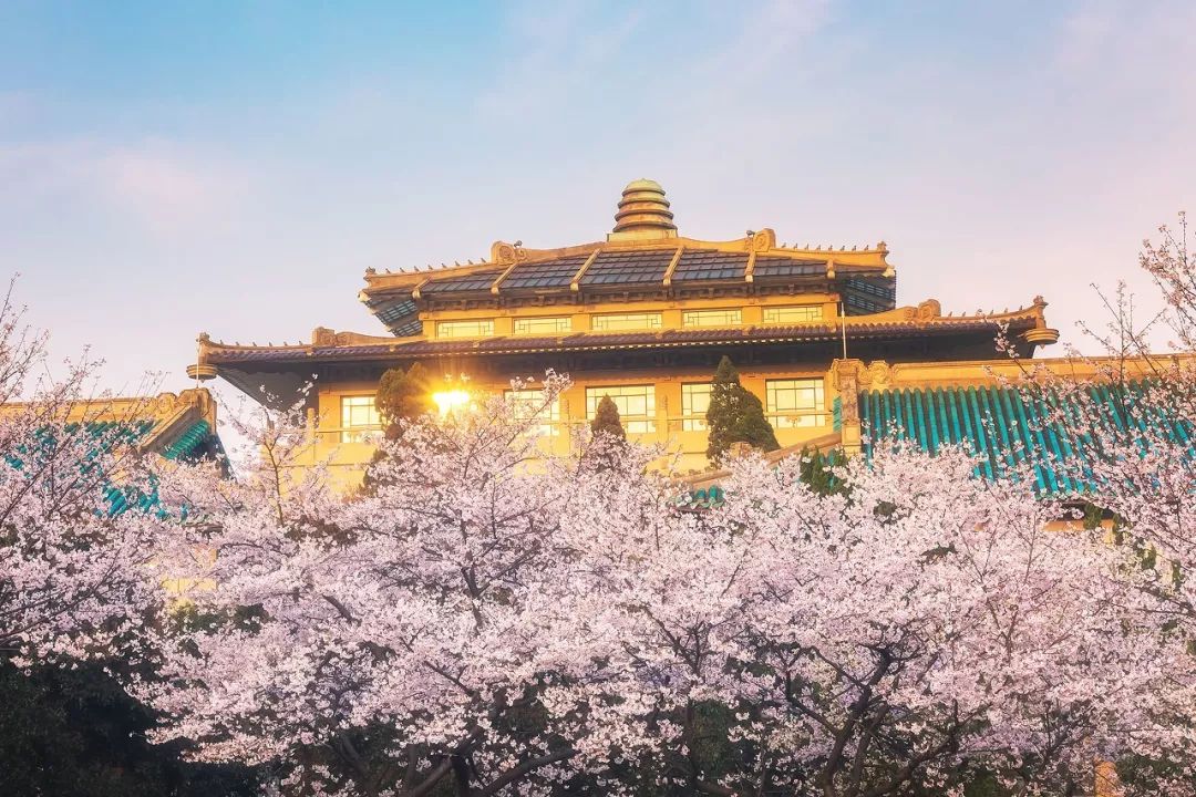 武汉终于解封！待到樱花再开时，相约这座英雄城市可好？