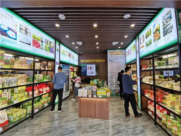 黑糯米、走地鸡蛋、东京丸……潮阳区特色农产品进驻电商平台，贫困户的腰包鼓了起来……