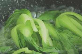 不吃糖大脑挂机？甜食致癌？“抗糖”到底怎么吃