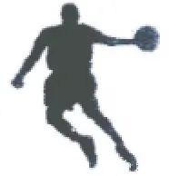 乔丹图形商标审判结果,乔丹与体育商标之争终结