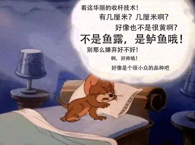 在哪可以看到动森,动森还有人吗