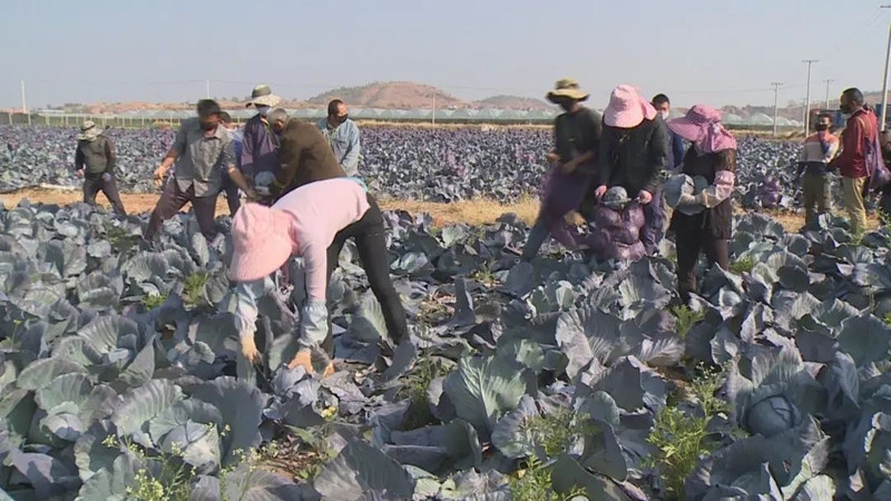 感恩云南千里驰援视频,感恩云南援咸医疗队