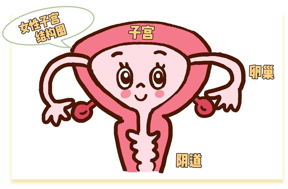 啪啪啪多了那里真的会变松吗？真相其实是