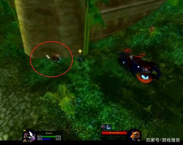 法师单刷祖格鳄鱼最简单操作,法师单刷祖格鳄鱼能升到多少级啊